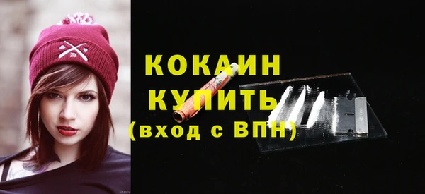 стафф Зерноград