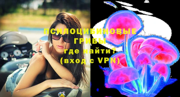 стафф Зерноград