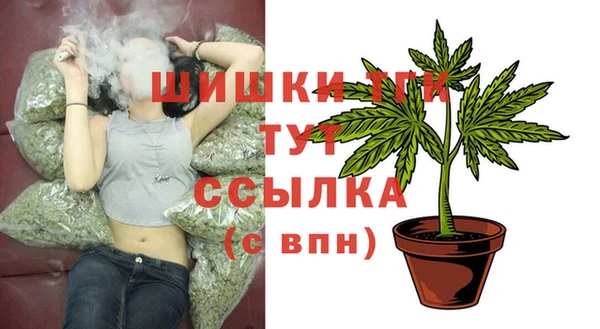 гидропоника Зеленодольск