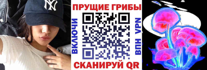 дарнет шоп  Королёв  Галлюциногенные грибы Magic Shrooms 